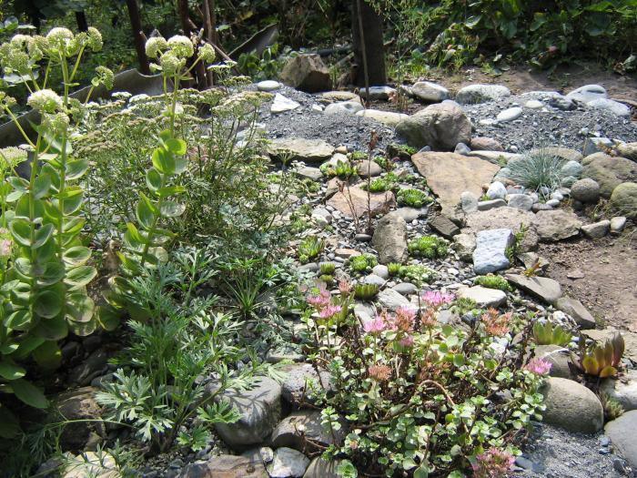 Старое фото альпинария